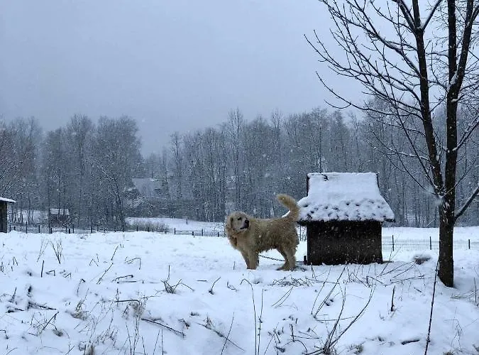 Giewont Mountain View
