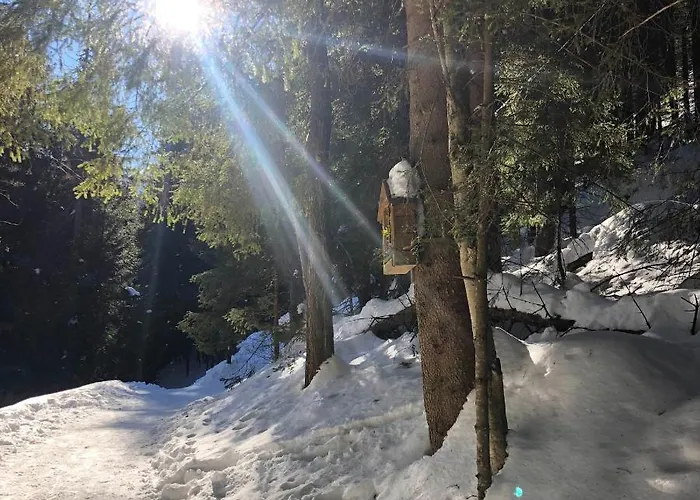 Giewont Mountain View Zakopane