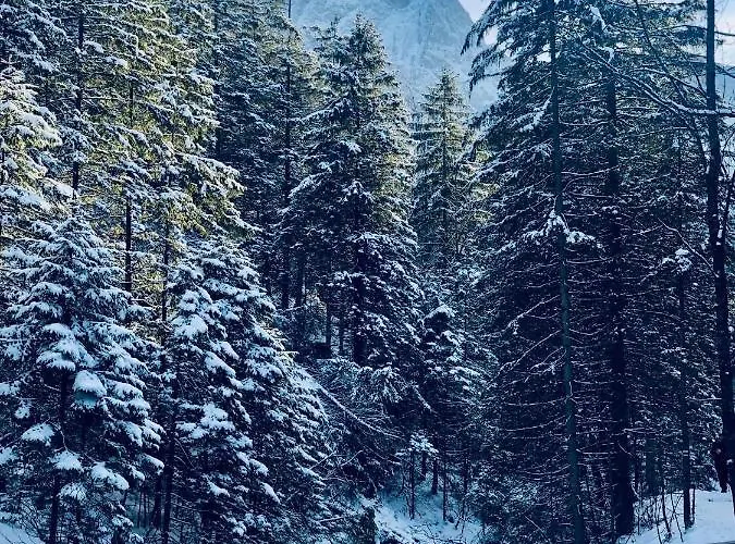 Giewont Mountain View Appartement *