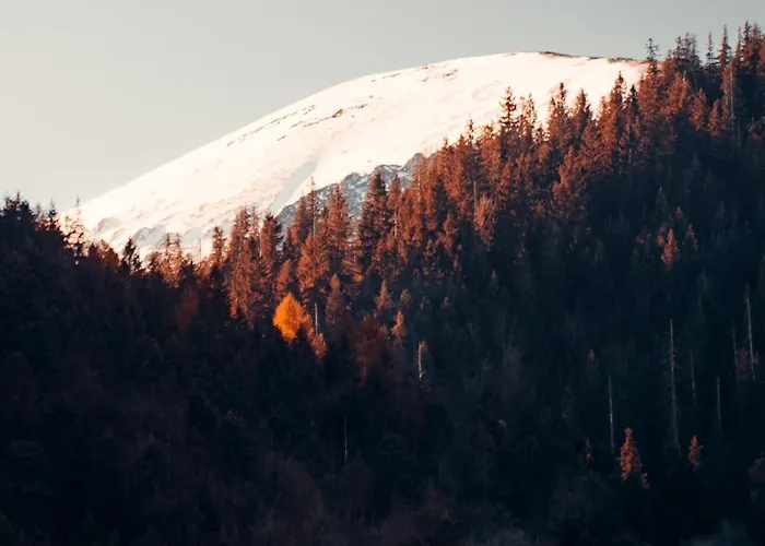 Appartement Giewont Mountain View *