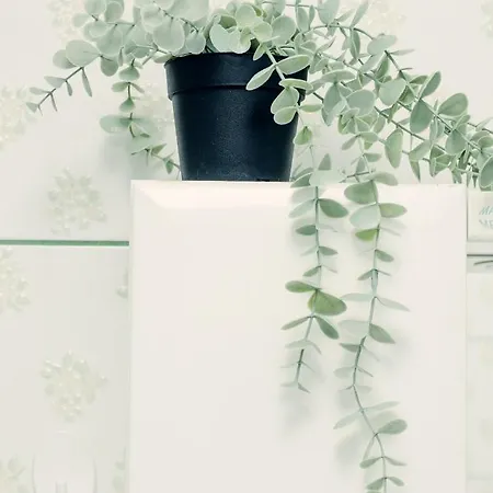 Giewont Mountain View Daire