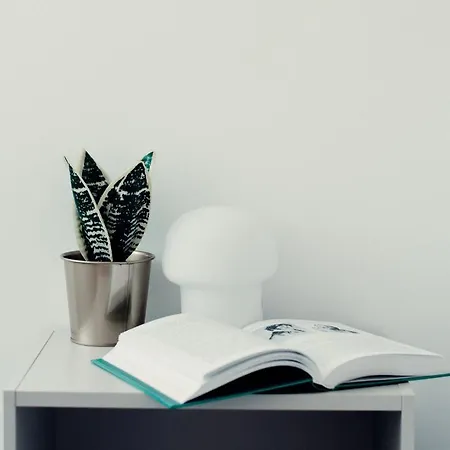 Giewont Mountain View