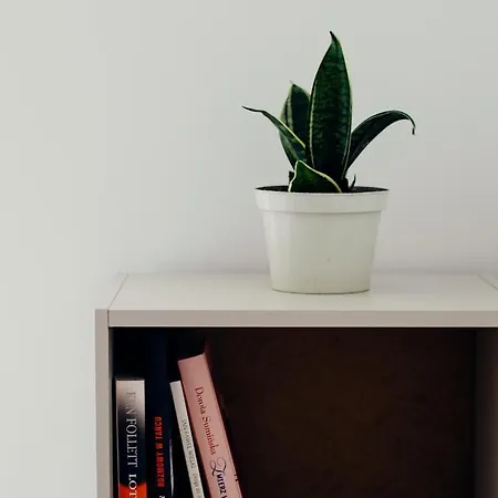 Daire Giewont Mountain View *