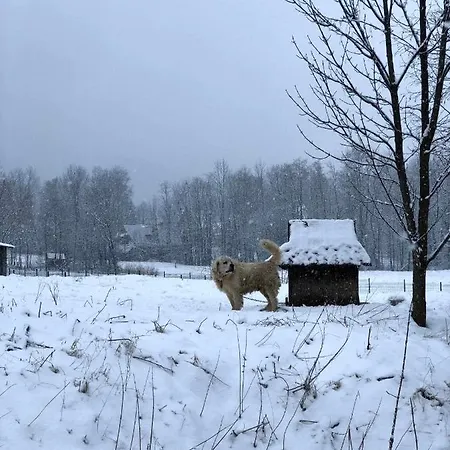 Giewont Mountain View