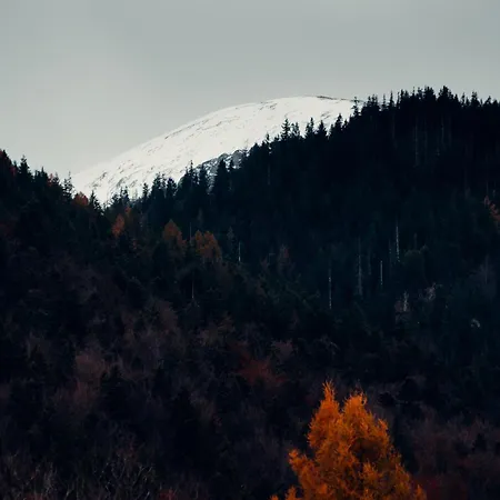 Daire Giewont Mountain View