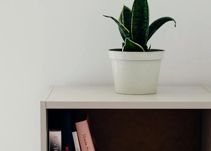 Daire Giewont Mountain View *