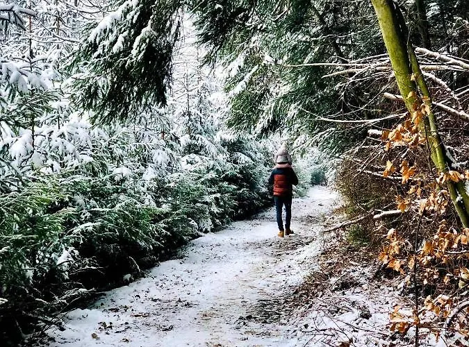 Giewont Mountain View Appartement