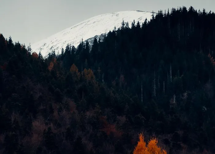 Daire Giewont Mountain View